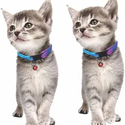 Rainbow Cat Collar with Bell for Indoor & Outdoor Use Dog & Cat Everyday Collar-picture-28