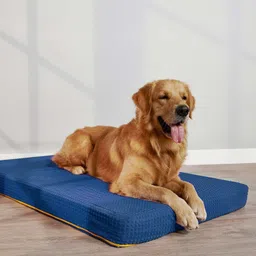 sleepycat Dog Bed, Splash Resistent M Pet Bed-picture-34