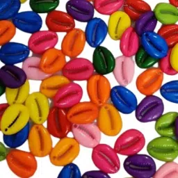 100 Pcs Multicolor Acrylic Cowrie Kauri Shell Beads for Adornment Beads-image-89