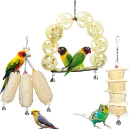 ADDY BIRD TOY | Set of 3 | Cuttlebone | Bird Treat | Foraging | Wooden Perch, Bone, Chew Toy, Ball, Stick, Training Aid For Bird-image-26