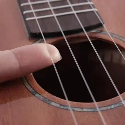 amg music Ukulele String Set with Guitar Capo Nylon Strings for Soprano, Concert, Tenor Concert Ukelele Strings image 4