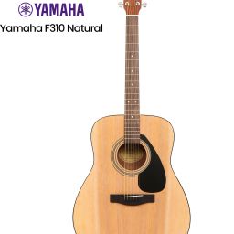 F310NT//IN Acoustic Guitar Mahogany Rosewood Right Hand Orientation-17