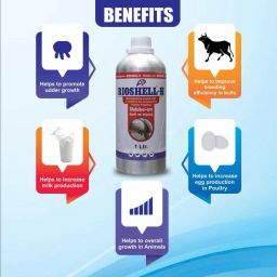 rioshell Veterinary Vitamin H Specially Udder Growth with Vitamin H, A, D3, E, C, K - 1 L Pet Health Supplements image 3