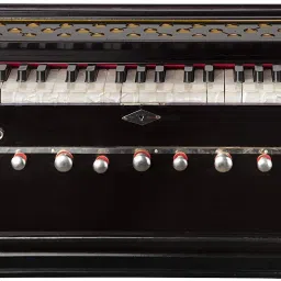 Harmonium 9 Stopper, Chudidaar Bellow 42 key Two reed Bass Male with Waterproof Cover Bag 3.5 Octave Hand Pumped Harmonium-image-4