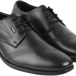 Oxford For Men-image-86