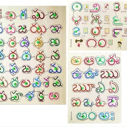 Combo of Telugu Consonants, Vowels, Counting's Wooden Letter Puzzle Board l Telegu Alphabet Educational Puzzle, Learning Aid for Boys and Girls, Kids, Students-image-20