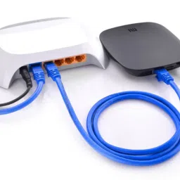 Fedus LAN Cable 50 m Cat5 Ethernet Cable Computer Networking with Gold-Plated RJ45 Cat5 Network Ethernet LAN Cable 50Meter image 3