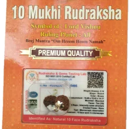 10 Mukhi Rudraksha Original Certified Lab Test & X-ray Report Sterling Silver Wood Pendant-image-1