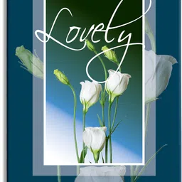 sehaz artworks AlbumsLovely_5*7_152Photos Album-picture-3