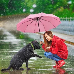 hsr Windproof Umbrella,Ladies Auto Open Close Strong Wind Proof Rain Proof Umbrella image 5