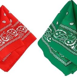 TKSA STYLE Handkerchief for Women Men Red Green ["Red","Green"] Handkerchief-image-120