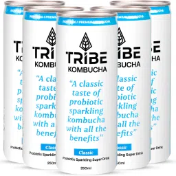 Kombucha Naturally Sparkling Probiotic Drink|Gut Friendly| Classic Drink-24