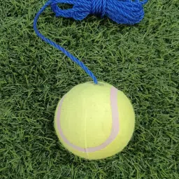 Cricket tennis hanging practice ball heavy for indoor/outdoor knocking Cricket Training Ball-image-20