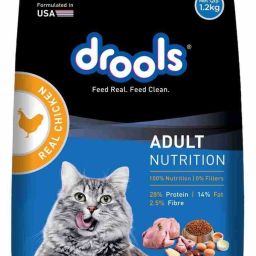 Real Chicken adult nutrition Chicken 1.2 kg Dry Adult Cat Food-image-85
