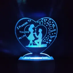 LOVE COUPLE Acrylic 3D Illusion RGB 7 Colour Changing LED Plug and Play Night Lamp-17