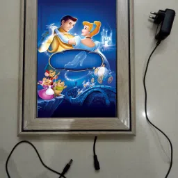 , CINDERELLA MODAL NO-12 15.5 inch LED PHOTO FRAME-picture-18