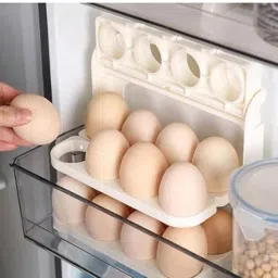 Plastic Egg Container - 2 dozen-picture-7