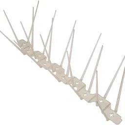 Bird Spike-picture-11