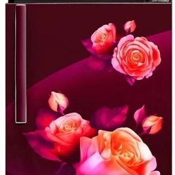 240 L Frost Free Double Door 2 Star Convertible Refrigerator-picture-25