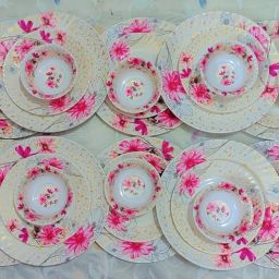 Melamine Dinner Plate pcs of 30 Dinner Plate-image-60