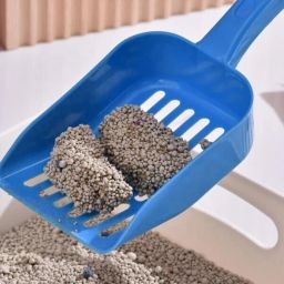 Dogs, Cats Litter Scoop-image-24