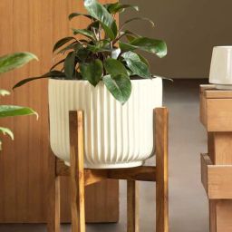 harla arts Pheonix(Large) Ivory Porcelain Floor Planters With Stand-picture-11
