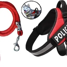 Dog Standard Harness-20
