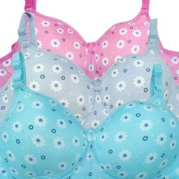 Pack of 3 Women T-Shirt Heavily Padded Bra-image-5