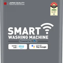 8 kg Fully Automatic Top Load with In-built Heater Grey-12