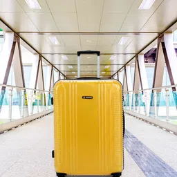 wrogn Large Check-in Suitcase (75 cm) 8 Wheels - Clearcase - Yellow-picture-20