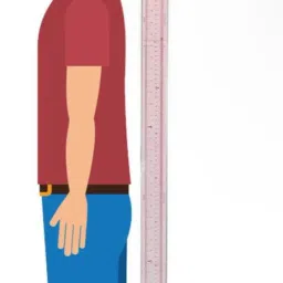 HEIGHT MEASURING SCALE( STADIOMETER)FOR ADULT & CHILDREN HEIGHT Height Gauge-image-28