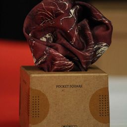 Tossido Printed Pocket Squares-image-86