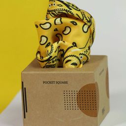 Tossido Printed Pocket Squares-image-54