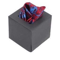 Peter England Men Red & Blue Printed Pocket Squares-image-131