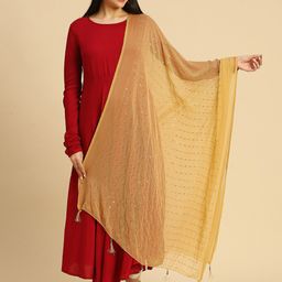 Dupatta Bazaar Embroidered Chiffon Dupatta with Sequinned-3