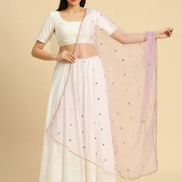 Dupatta Bazaar Embroidered Sequinned Net Dupatta-image-56
