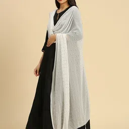 Dupatta Bazaar Striped Sequinned Detailed Chiffon Dupatta image 5