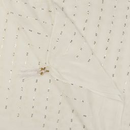 Dupatta Bazaar Striped Sequinned Detailed Chiffon Dupatta image 4