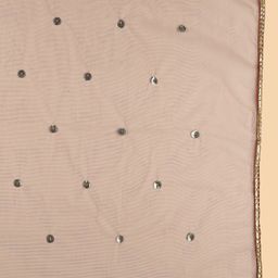 Dupatta Bazaar Embroidered Sequinned Net Dupatta image 4