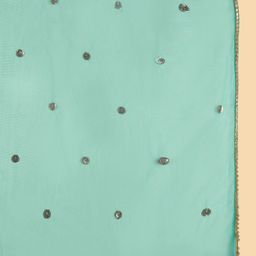Dupatta Bazaar Embellished Sequinned Net Dupatta image 2