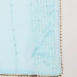 Dupatta Bazaar Blue Embroidered Dupatta with Sequinned image 5