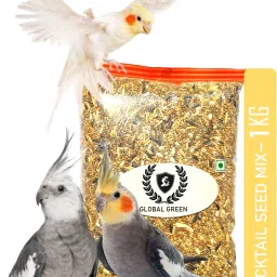 Cocktail & Love Bird Special Seed Mix 1 kg (10 type of seed mix) 1 kg Dry Adult, New Born, Senior, Young Bird Food-16