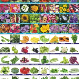 85 Variety Vegetable and flower combo pack Seed-image-35