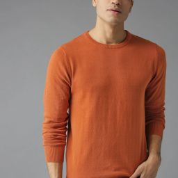 Men Solid Round Neck Brown Sweater-image-73