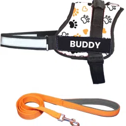 Dog Harness & Leash-28