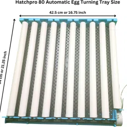 80 Eggs Rolling Automatic egg tray multipurpose with motor ,assembled for Egg Incubator-picture-10