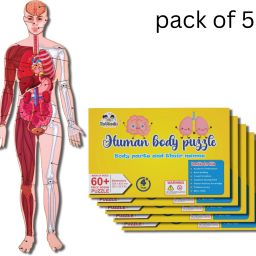 Human Body Puzzle Kids 4+ (Pack of 5) Perfect Gift for Kids' Activities!-13