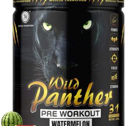 Pre-Workout for Increased Muscle Pump,Explosive Power,Stamina & Strength Creatine Sports Drink-image-28