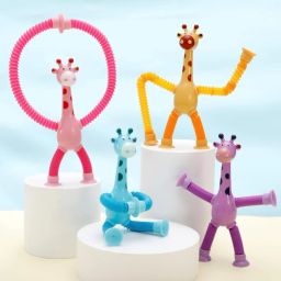 Hand Puppets-image-7