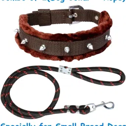 Dog Belt (Combo of 2) Padded Brown Fur Spike Dog Collar + Black Dog Lead Specially for Small Breeds Dog Collar & Leash-image-34